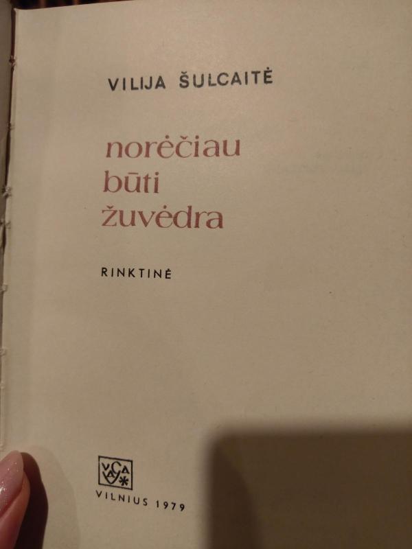 Norėčiau būti žuvėdra - Vilija Šulcaitė, knyga 2