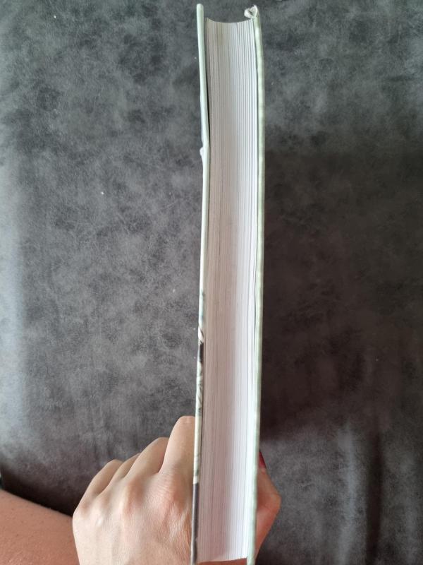 Matematika - Antanas Apynis, knyga 2