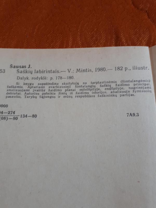 Šaškių labirintais - J. Šausas, knyga 2