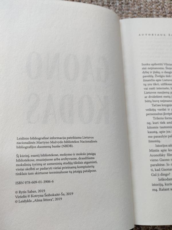 Gaono kodas - Rytis Sabas, knyga 3