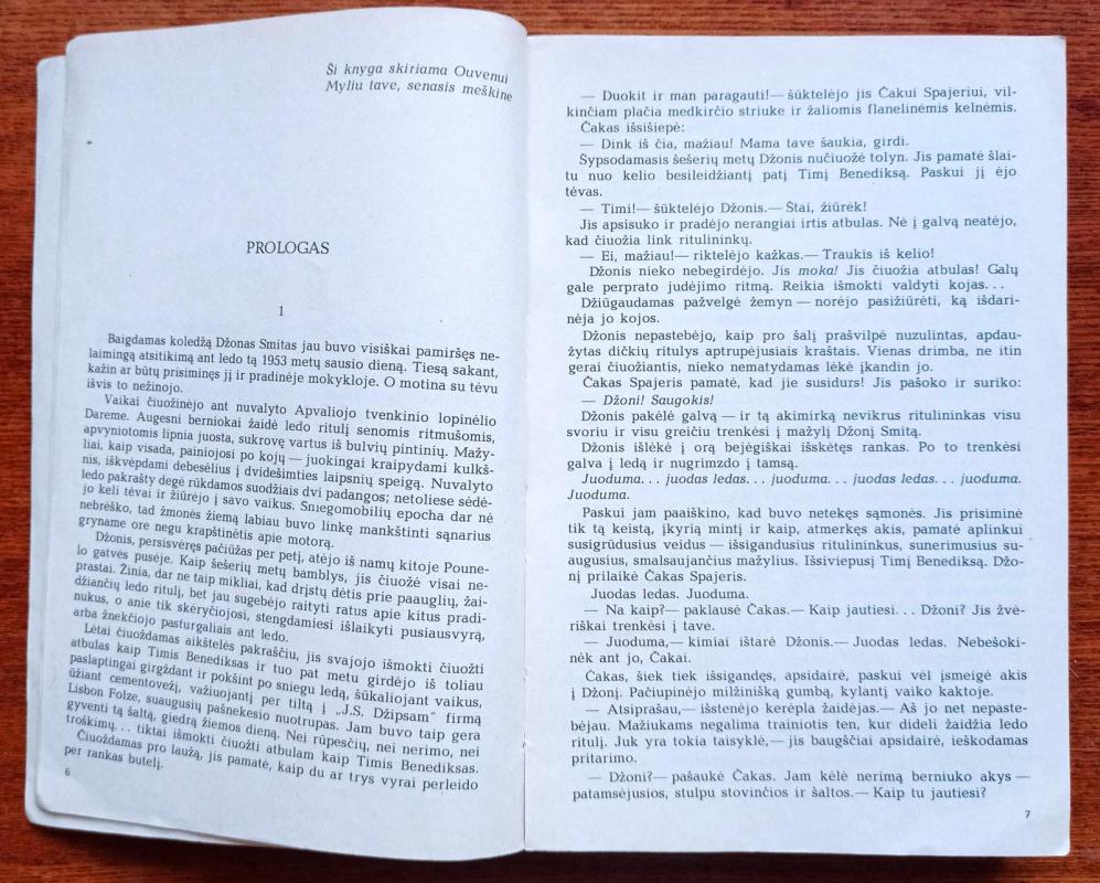 Tylos zona - Stephen King, knyga 3