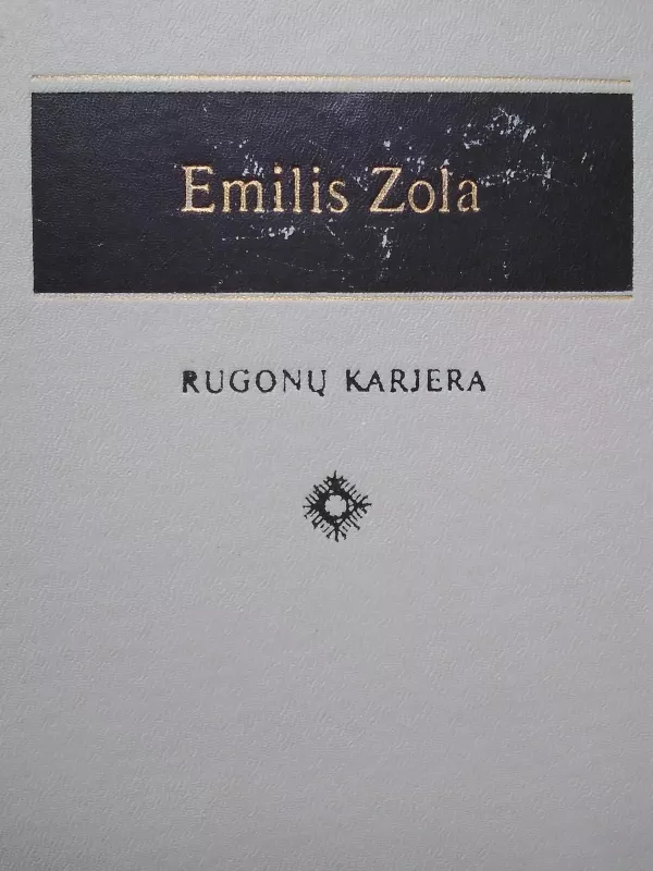 Rugonų karjera - Emilis Zola, knyga 2