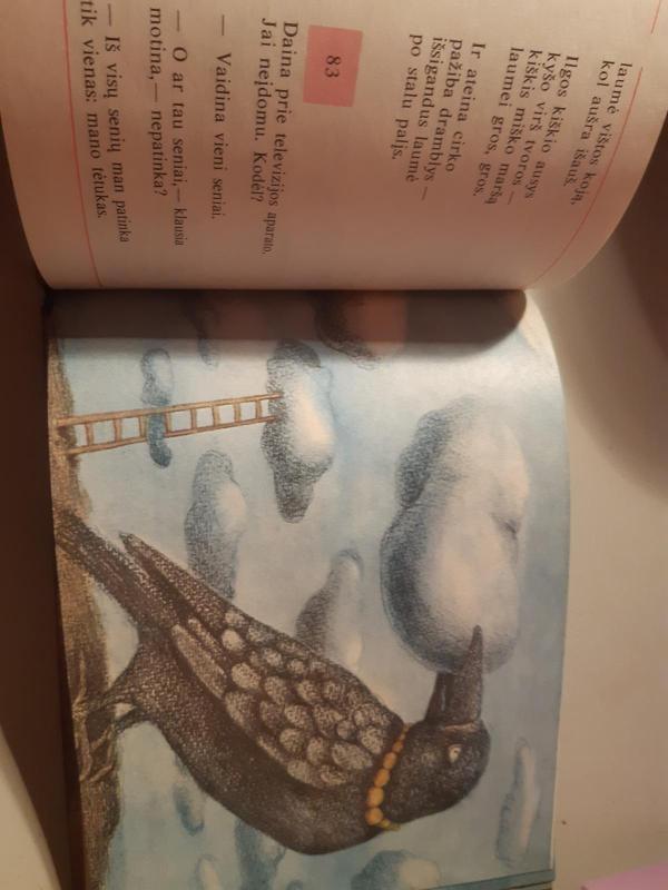 Dainos dienoraštis - Eduardas Mieželaitis, knyga 2