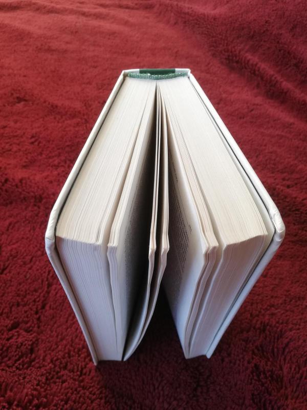 Raštai. Filosofijos istorija, kultūra - Vosylius Sezemanas, knyga 2