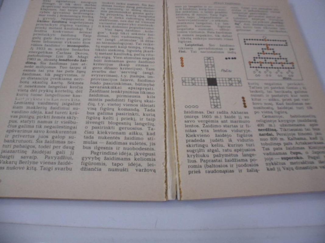 Žaidimai visai šeimai - Oigenas Okeris, knyga 2