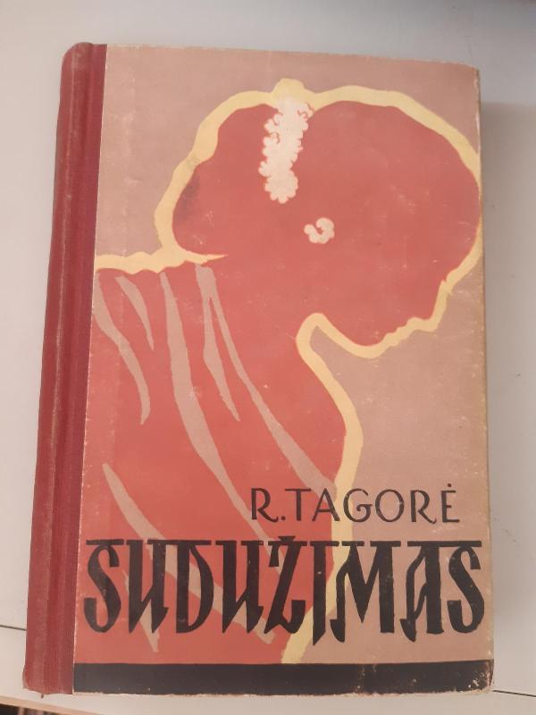 Sudužimas - Rabindranatas Tagorė, knyga 2