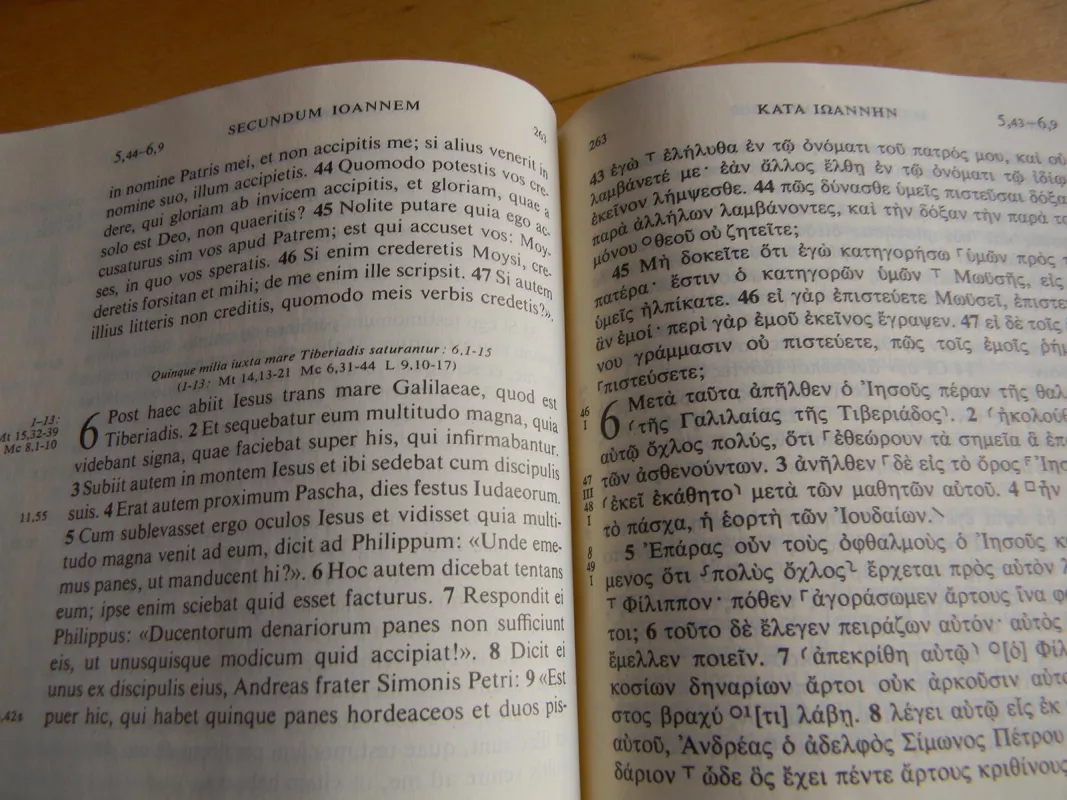 Nestle-aland Novum testamentum graece et latine - Autorių Kolektyvas, knyga 4