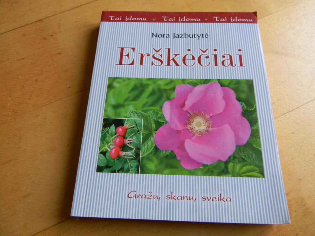 Erškėčiai - Nora Jazbutytė, knyga 3