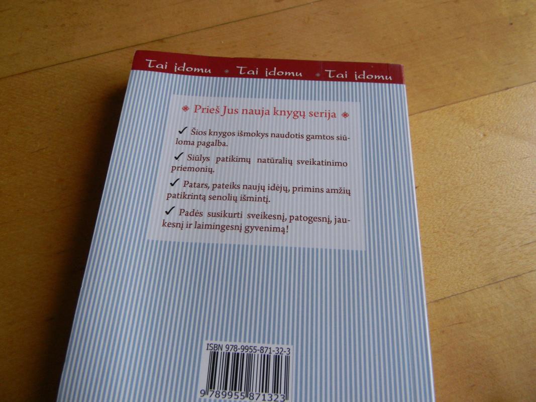 Erškėčiai - Nora Jazbutytė, knyga 2