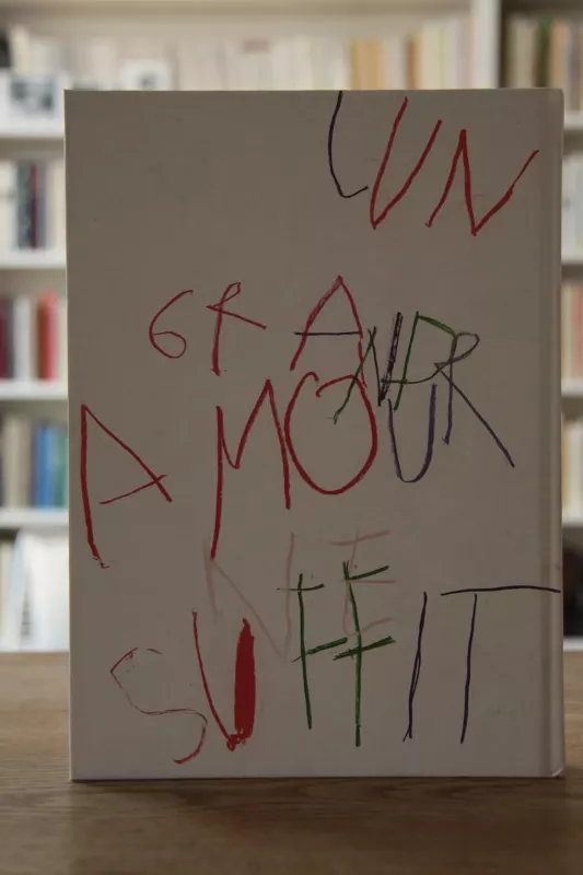 Kamikaze - Philippe Vandenberg, knyga 2