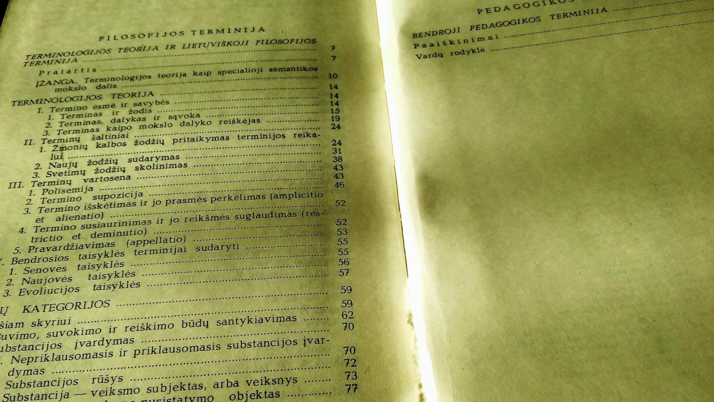 Raštai I ir II tomai - S. Šalkauskis, knyga 2