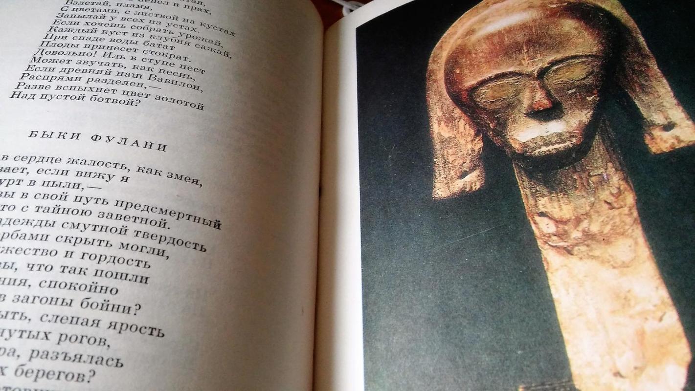 Afrikos poezija - Autorių Kolektyvas, knyga 2