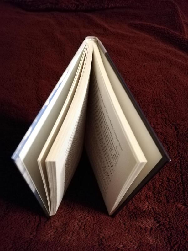 Turtų voratinklyje - Rokas Flick, knyga 3