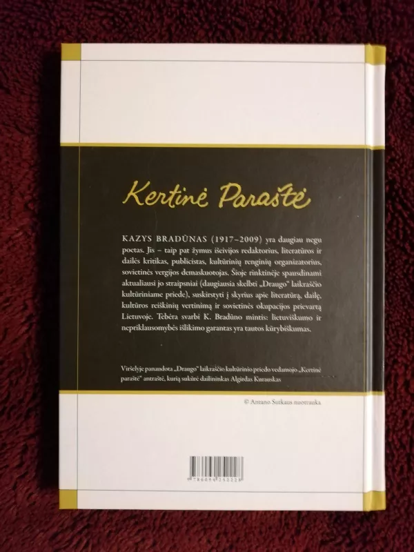 Kertinė paraštė - Kazys Bradūnas, knyga