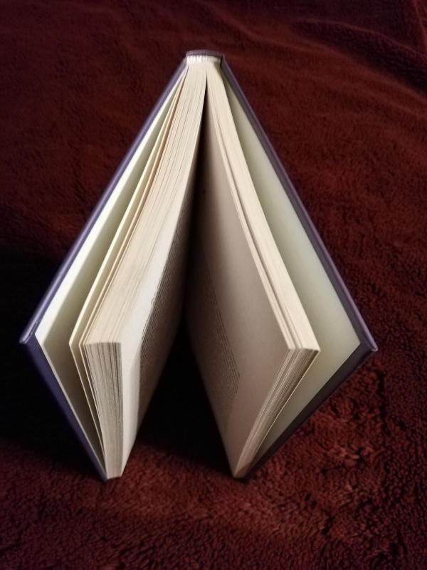 Kol dar nesibaigė mūsų galiojimo laikas - Palmira Galkontaitė, knyga 4