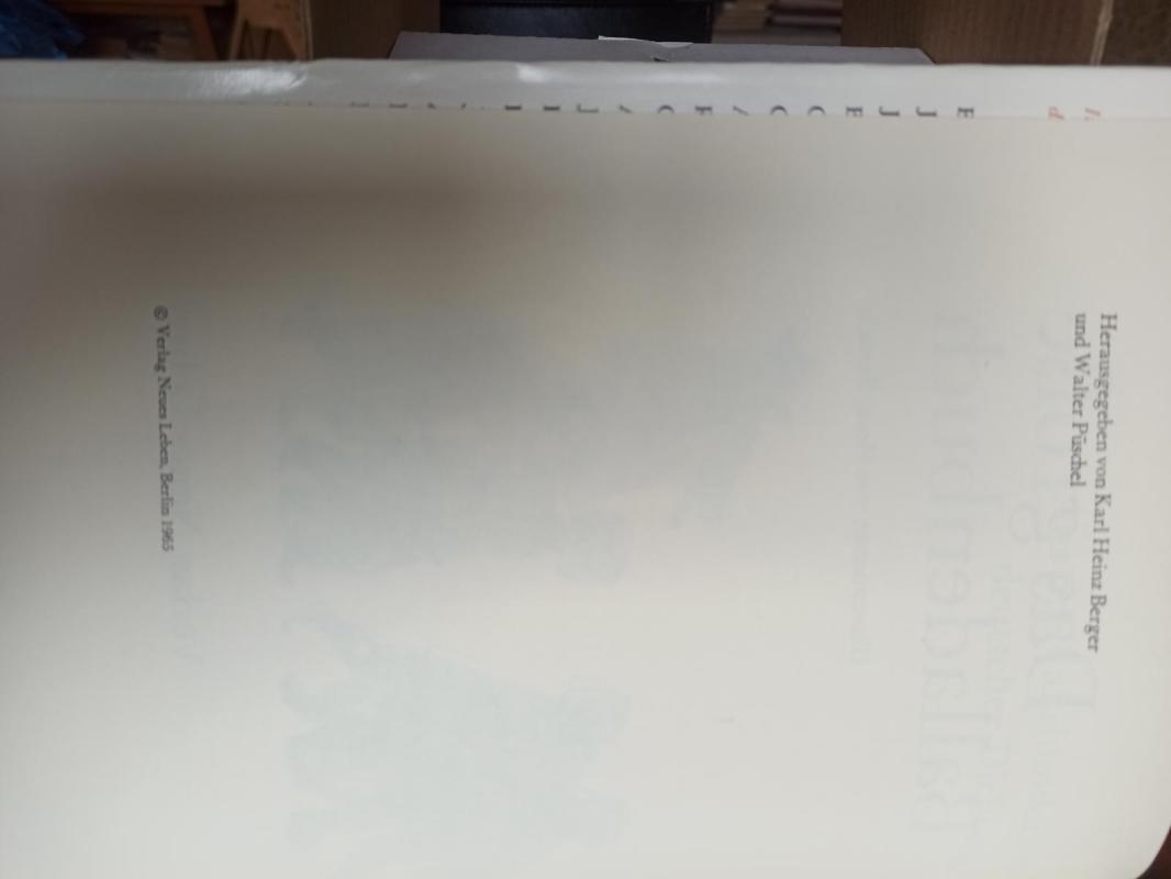 Das Größe Balladenbuch - Autorių Kolektyvas, knyga 2