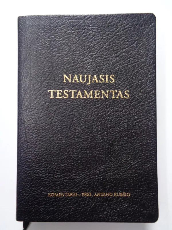 Naujasis Testamentas - Česlovas Kavaliauskas, knyga