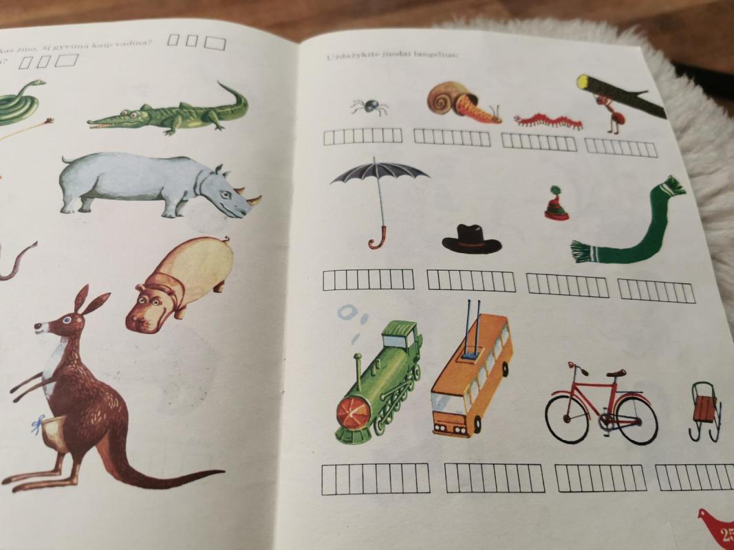 Dainorėlis 1 - Vida Krakauskaitė, knyga 4