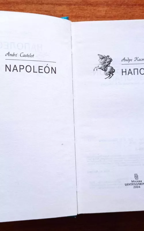 Наполеон - Андре Кастело, knyga 3