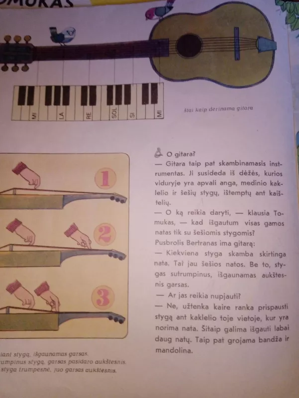 Tomukas ir muzikos instrumentai - Žeraras Gre, Alenas  Gre, knyga 2