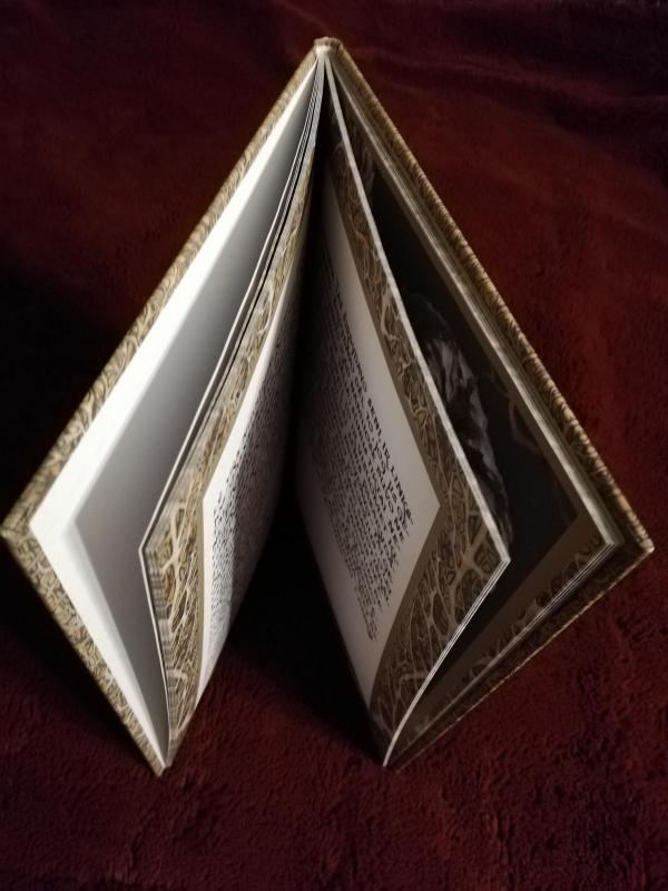 Jons ir Aniutia - Petras Vileišis, knyga 3