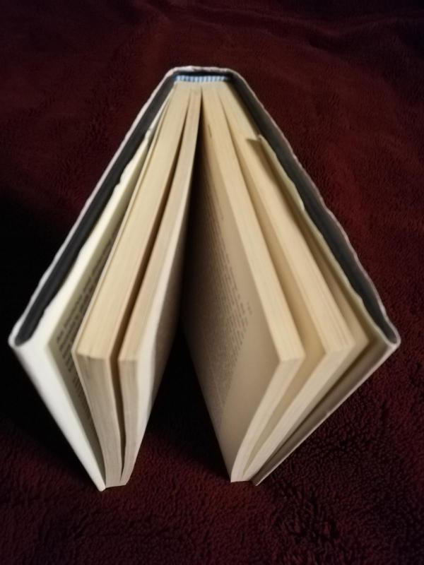 The new cold war. How the Kremlin menaces both Russia and the West - Edward Lucas, knyga 3