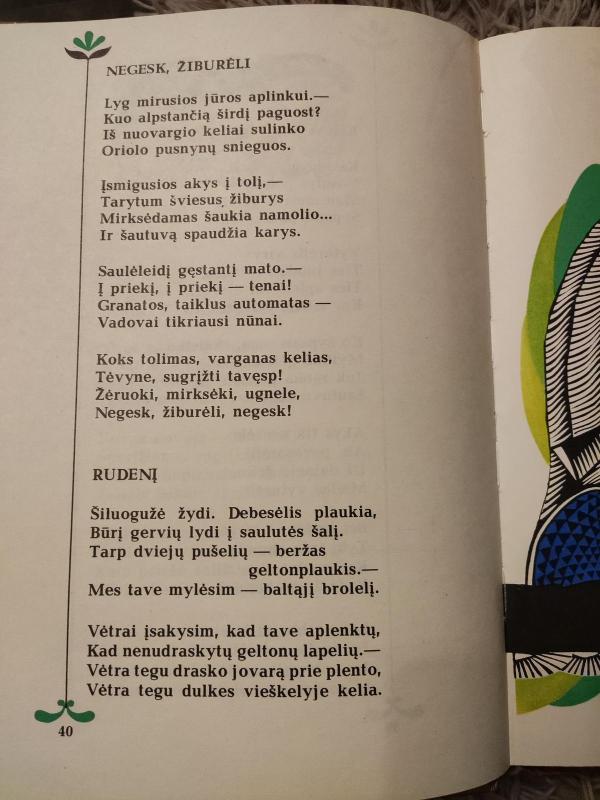 Negesk, žiburėli - Salomėja Nėris, knyga 2