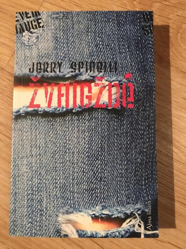 Žvaigždė - Jerry Spinelli, knyga 2