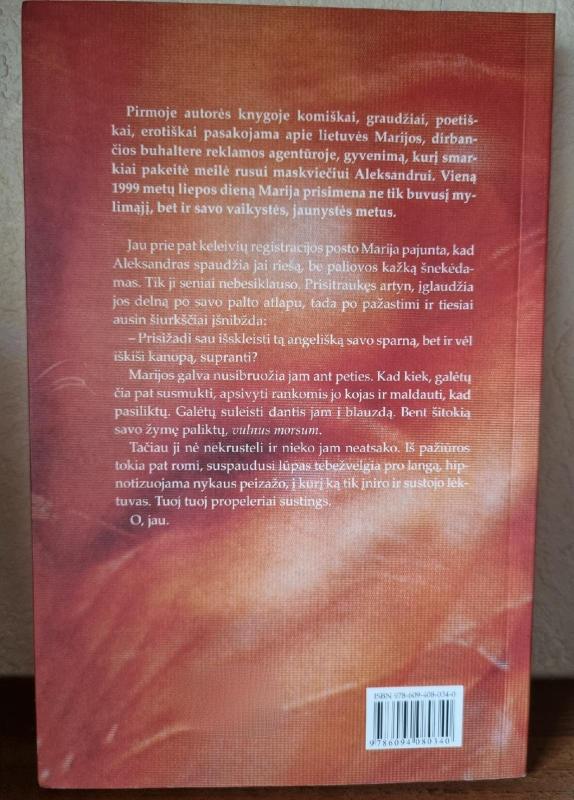 Aukso sprindis - Marija Gudelytė, knyga 3