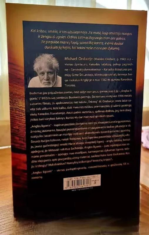 Anglas ligonis - Michael Ondaatje, knyga 3