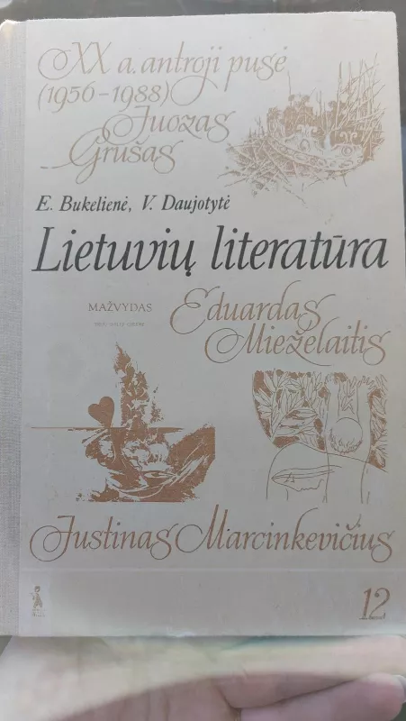 Lietuvių literatūra XX amžiaus antroji pusė - Elena Bukelienė, knyga