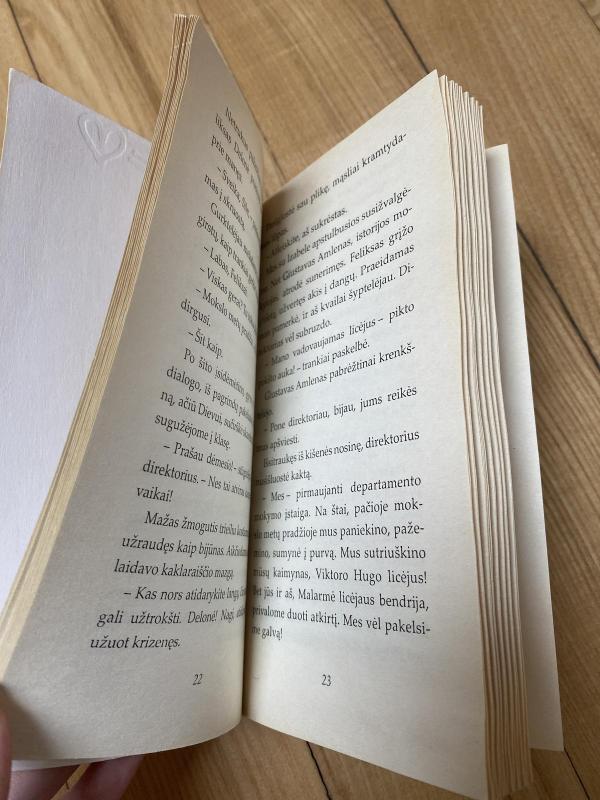 Feliksas Delonė ir aš - Shaine Cassim, knyga 3