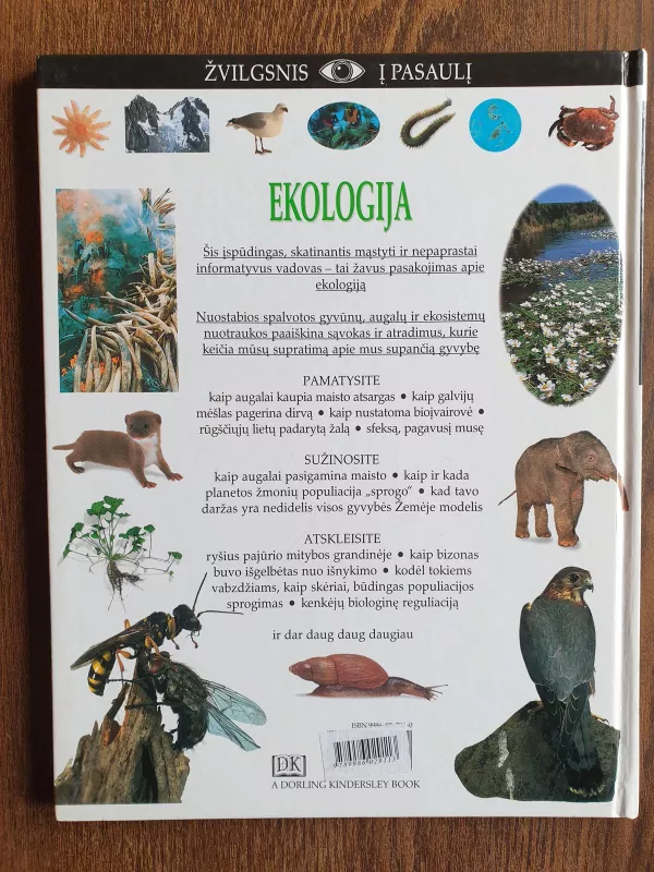 Ekologija - Steve Pollock, knyga