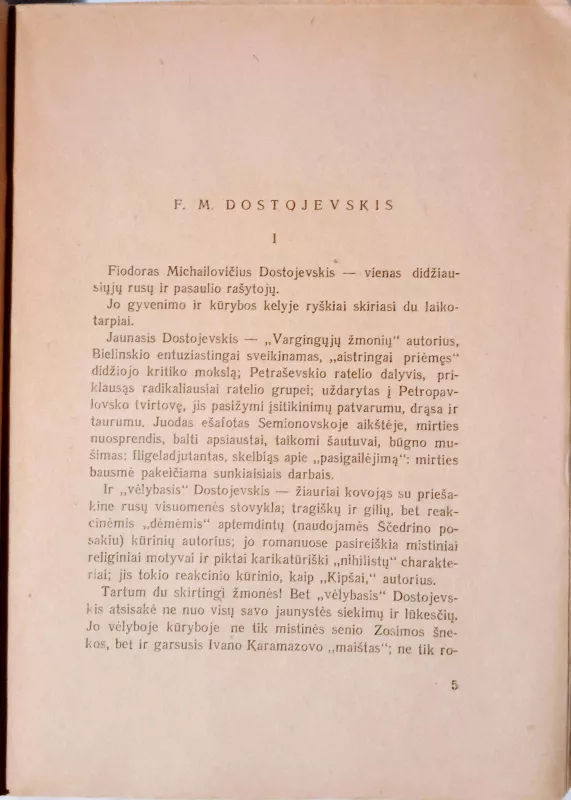 Nusikaltimas ir bausmė (2 tomai) - Fiodoras Dostojevskis, knyga 5