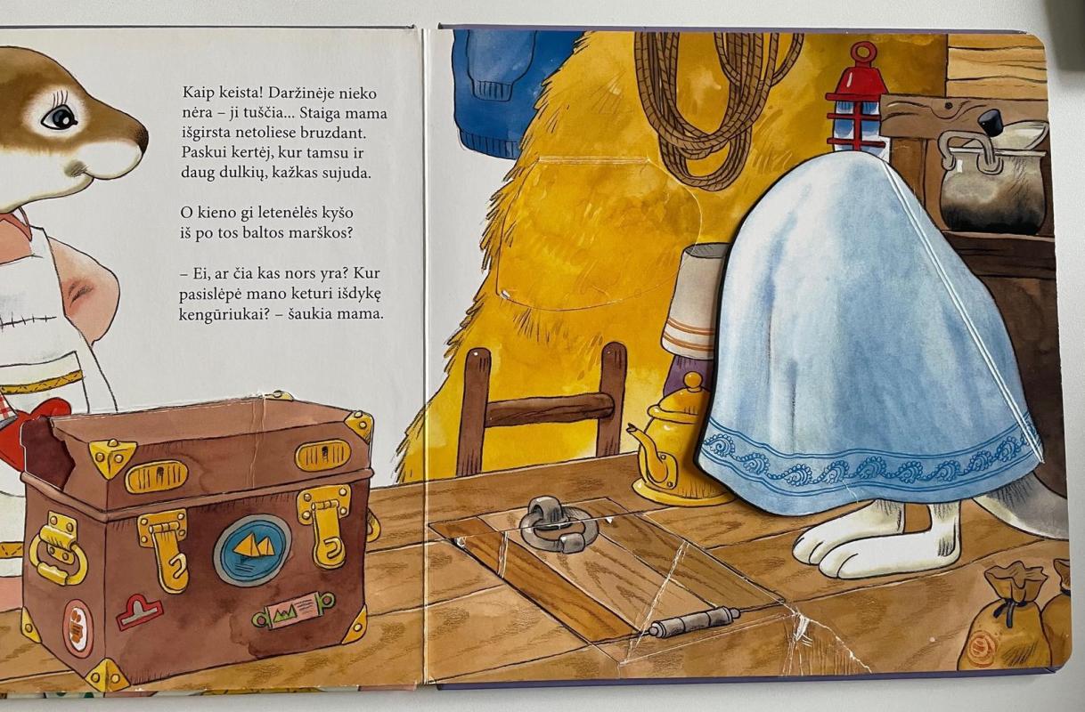 Keturi išdykę kengūriukai: dabar tai bus! - Matt Wolf, knyga 2