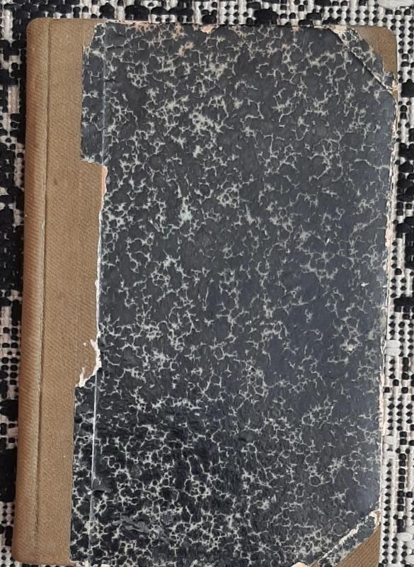 Žemaitės raštai (IV tomas) - Autorių Kolektyvas, knyga 3