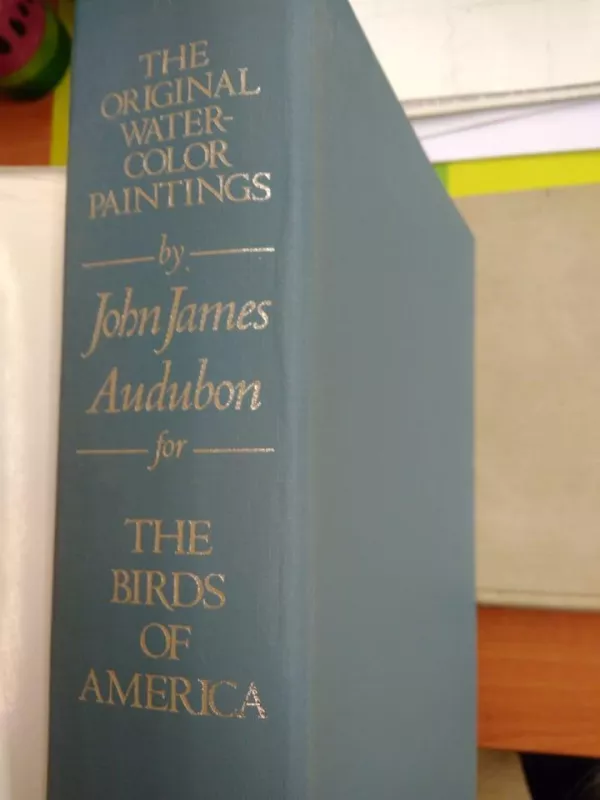 The birds of America - Autorių Kolektyvas, knyga 4