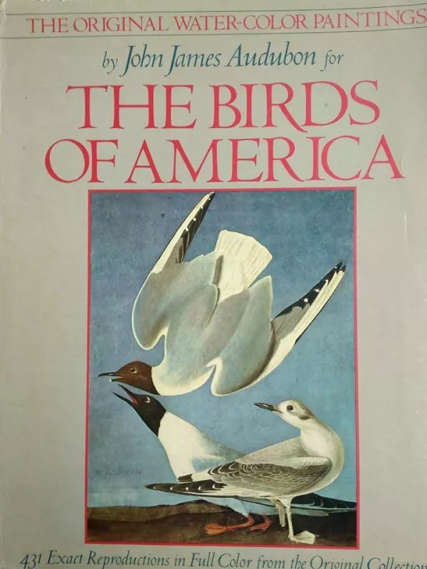 The birds of America - Autorių Kolektyvas, knyga 5