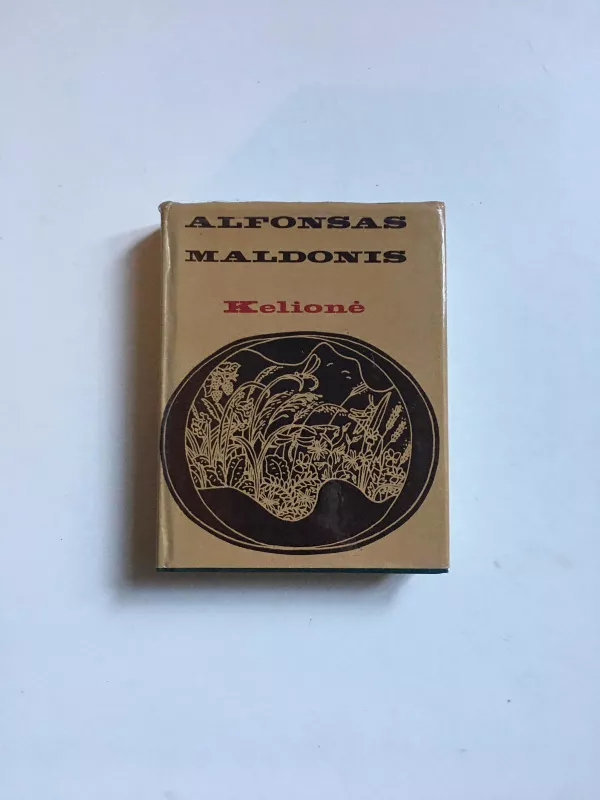 Kelionė - Alfonsas Maldonis, knyga