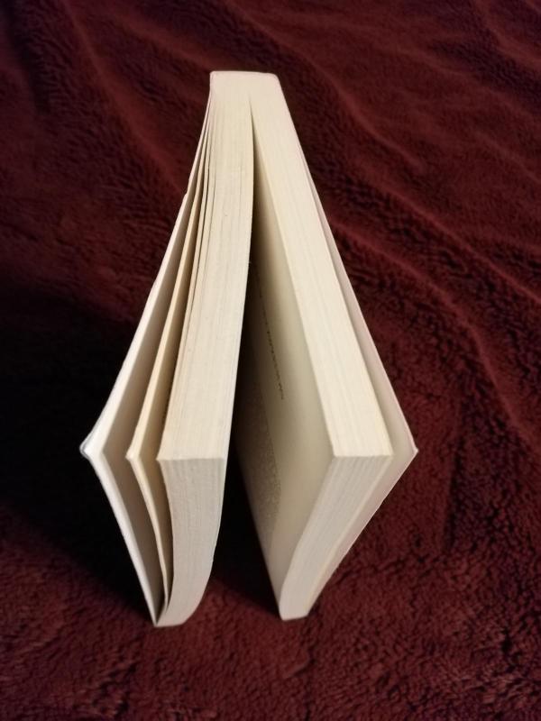 Susitikimas. Evangelijos liudijimas - Gennaro Matino, knyga 4