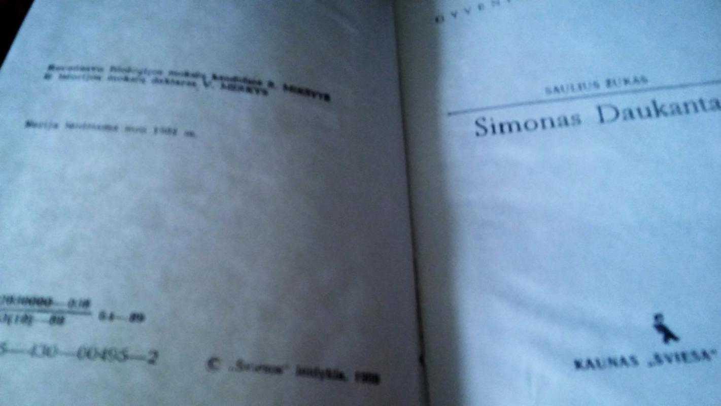 Simonas Daukantas - Saulius Žukas, knyga 4