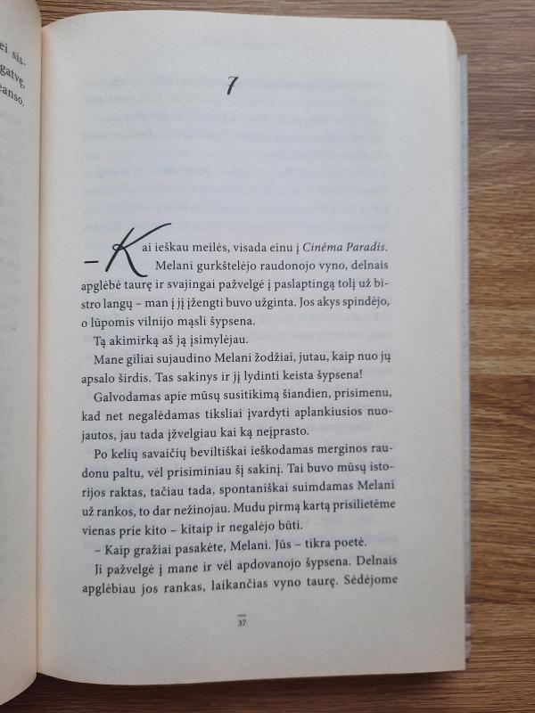 Vieną vakarą Paryžiuje - Nicolas Barreau, knyga 2