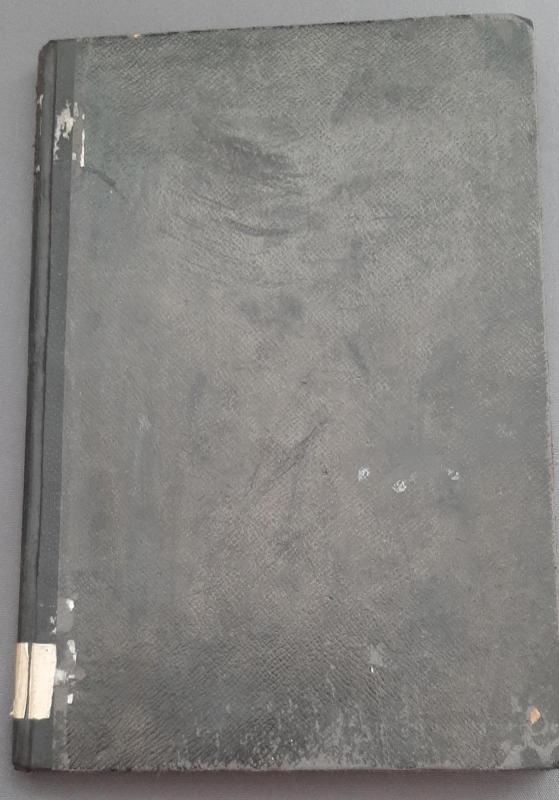 Raštai (IV knyga) | Žingsniai ir Žygiai - A. Vienuolis, knyga 3