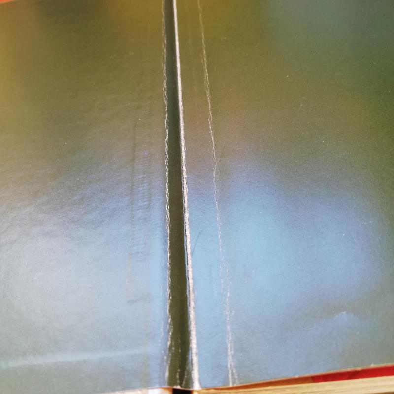 Mažieji draugai - Sandrine Rabouan, Jean-Baptiste  Rabouan, Jean-Louis  Fetjaine, knyga 3