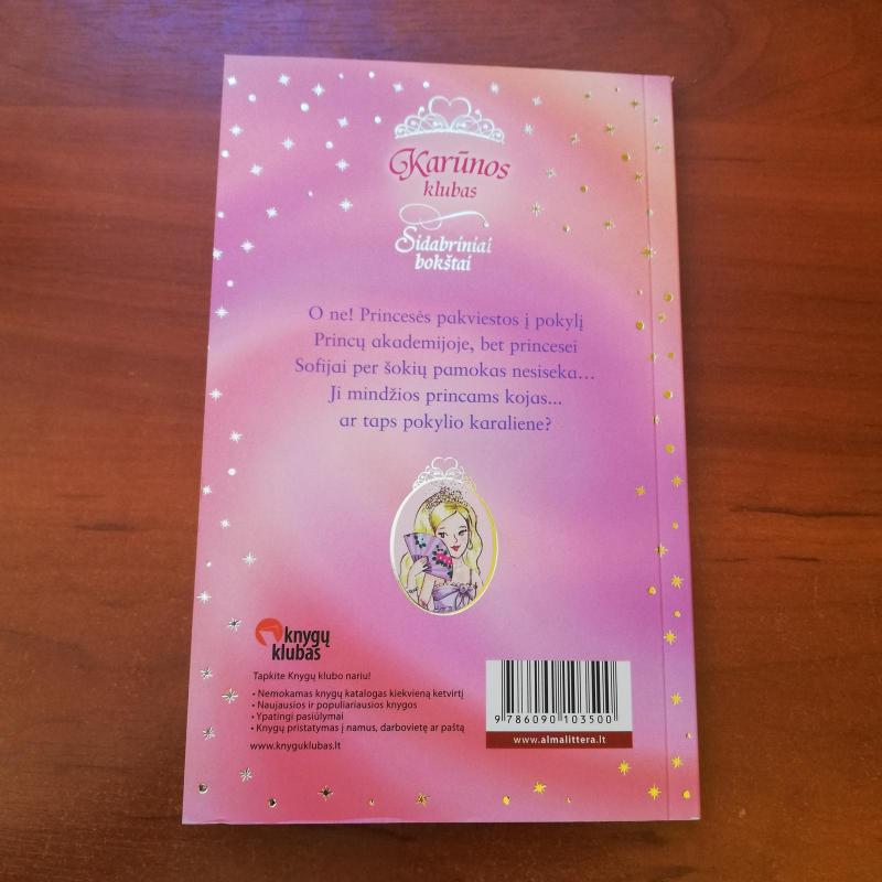 Princesė Sofija ir princo pokylis - Vivian French, knyga 3