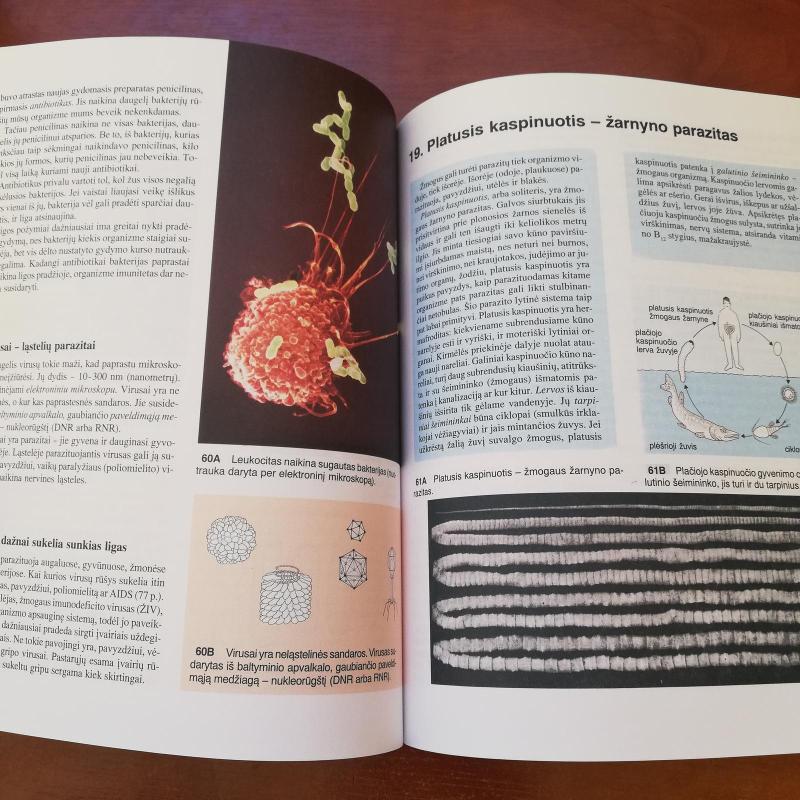 Žmogaus biologija IX - Autorių Kolektyvas, knyga 3