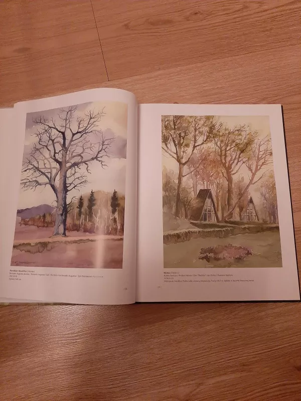Lietuvos medžiai Antano Krištopaičio akvarelėse - Antanas Krištopaitis, knyga 5