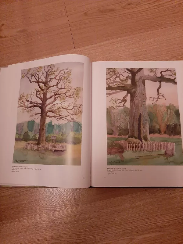 Lietuvos medžiai Antano Krištopaičio akvarelėse - Antanas Krištopaitis, knyga 4