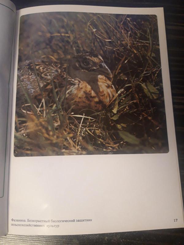 На лоне природы - Георгиев Борис, knyga 2