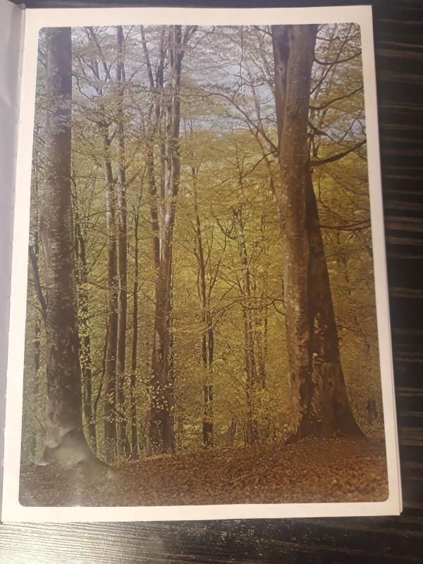 На лоне природы - Георгиев Борис, knyga 5